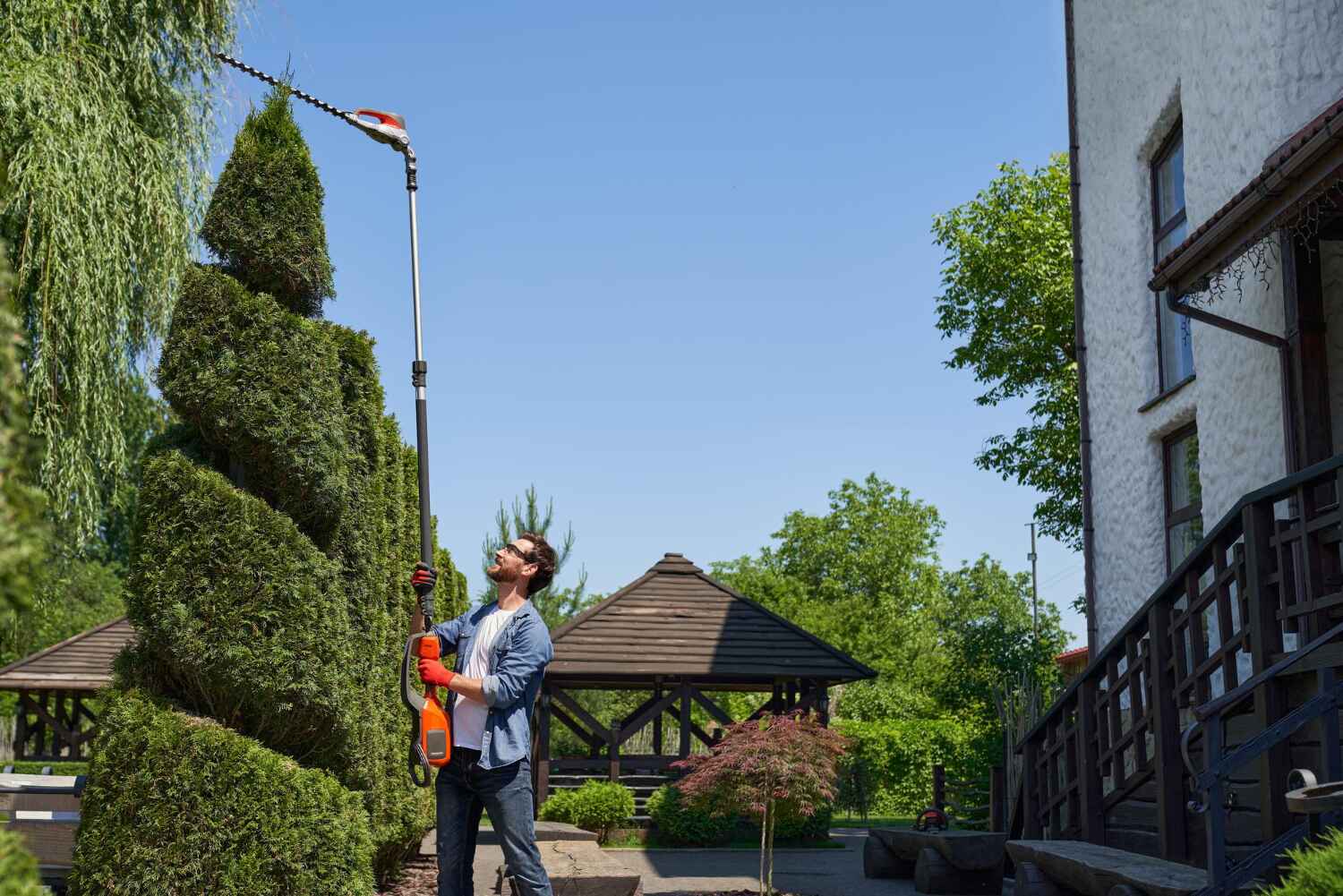 Best Palm Tree Trimming  in St Hedwig, TX